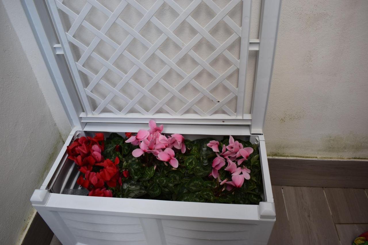 Apartament La Casita Nel Bosco Neapol Zewnętrze zdjęcie